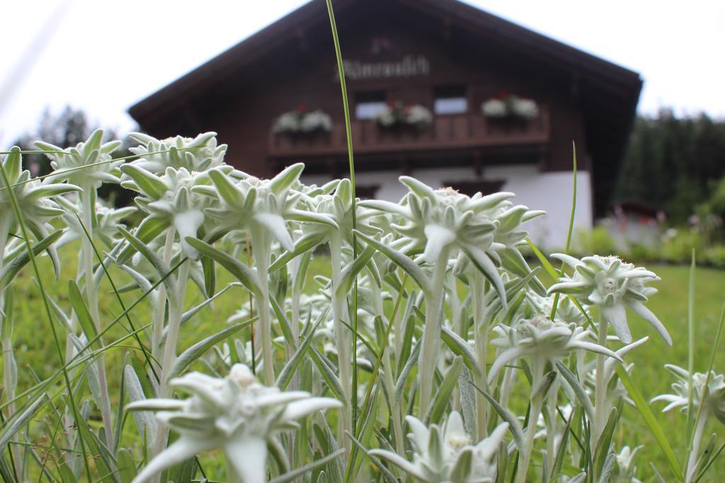 Haus Almrausch Hotel Seefeld in Tirol Exterior photo